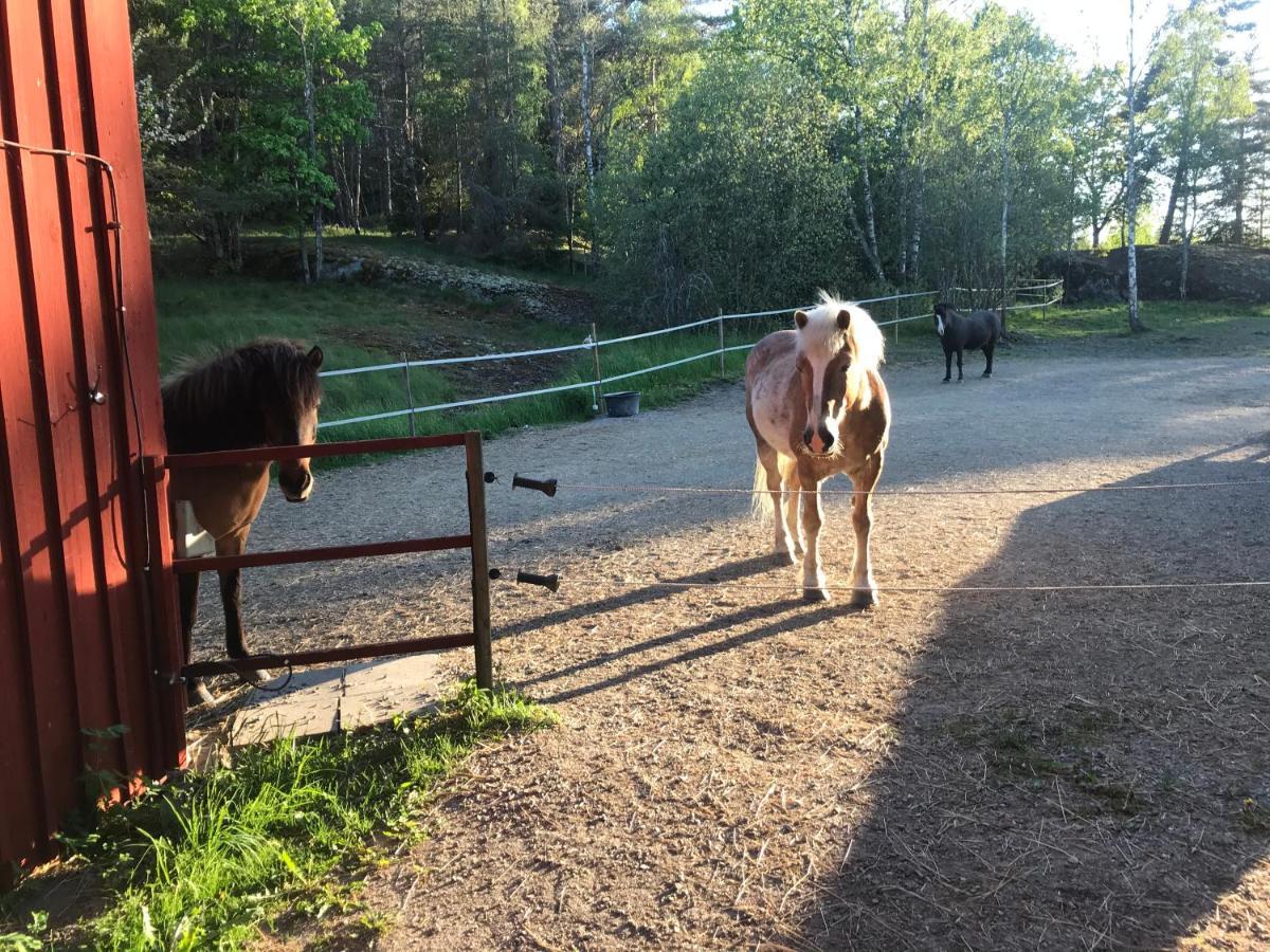 Nice Holiday House At Horse Farm With Lake And Sauna Holo  エクステリア 写真