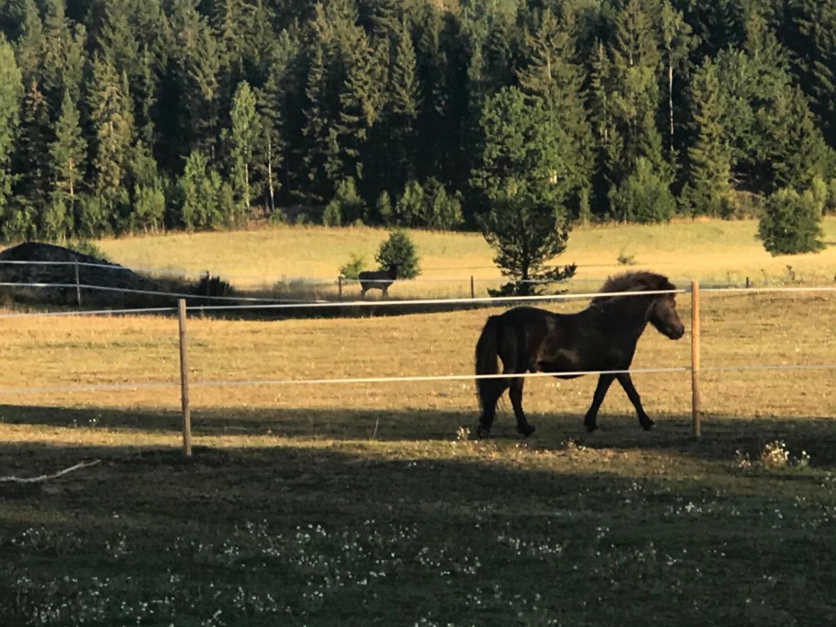 Nice Holiday House At Horse Farm With Lake And Sauna Holo  エクステリア 写真